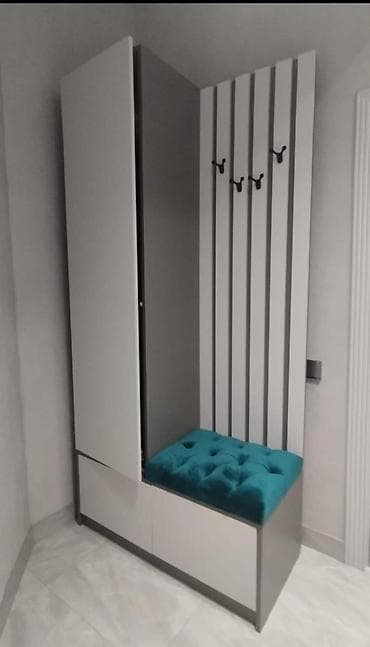 Endiriim(Dehliz dolabi) ideal veziyyetde hec bir prablemi yoxdur ici at lalafo.az Endiriim(Dehliz dolabi) ideal veziyyetde hec bir prablemi yoxdur ici