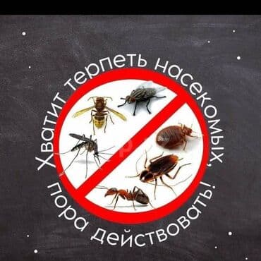 xalca yuma 1 50 azn 2023: Dezinfeksiya, dezinseksiya | Nəqliyyat — 9