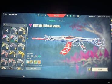 super gün tarifi: Məhsul: Valorant hesabı – geniş skin kolleksiyası və aksesuarlar — 8