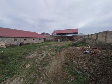 sekide tecili satilan evler sekide satilan ev ve torpaq: Ferma/təsərrüfat sahəsi40 baş iri buynuzlu heyvan saxlanılması üçün — 2