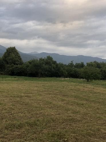 Квартиры: 52 соток, Возможен обмен, Купчая — 6