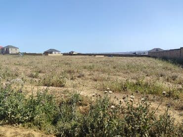 xacmaz torpaq satilir: 41 sot, Kənd təsərrüfatı, Mülkiyyətçi, Kupça (Çıxarış) — 2