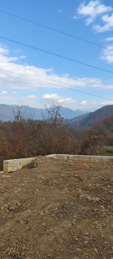 11 sot, Tikinti, Mülkiyyətçi, Kupça (Çıxarış)