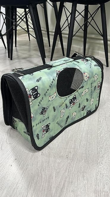 ev sicani: Məhsul: Pişik balası və aksesuar dəsti Təsvir: Salam Aleykum cins — 4