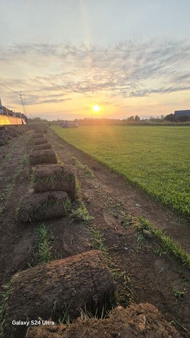 soxulcan gübrəsi: Təbii qazon rulonları landşaft dizaynı üçün əla seçimdir. Bu qazon — 5