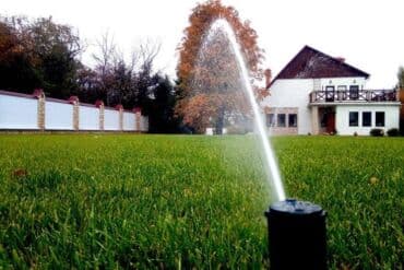 алоэ вера купить: PRIZMA – damla sulama və peyzaj suvarma sistemləri Xidmətin məzmunu — 16