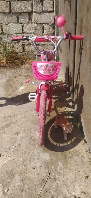 детские вещи: Новый Четырехколесные Детский велосипед 20", Самовывоз — 4