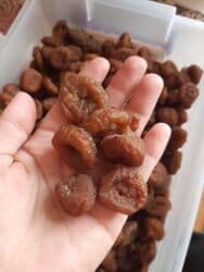 Mürəbbələr: Bakı əncirin qurusu atatən satışda daha baxa olur öz bağmızdandır yanı — 4