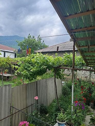 Daşınmaz əmlak: Yaşıl, çiçəklərlə zəngin həyəti və geniş üstüörtülü eyvanı olan gunluk — 2
