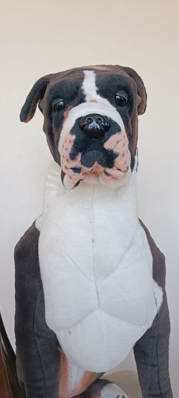 заказать поп ит в баку: Satilir — 3