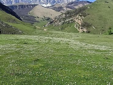 berdede torpaq: 105 sot, Kənd təsərrüfatı, Mülkiyyətçi, Kupça (Çıxarış) — 3