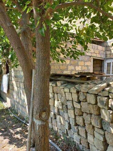 ilkin ödənişsiz evlər 2022: 3 otaqlı, 110 kv. m, Orta təmir — 7