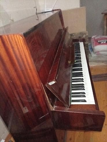 Musiqi alətləri: Piano, Akustik — 1