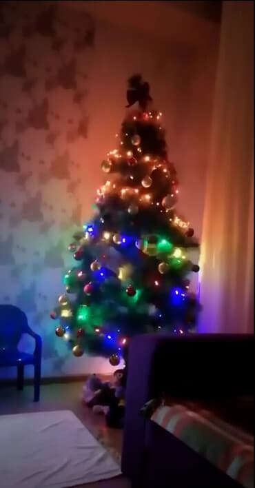 Физика: Salam razlışma edə bilərik təcili pul lazım olduğu üçün bu qiymətə — 1