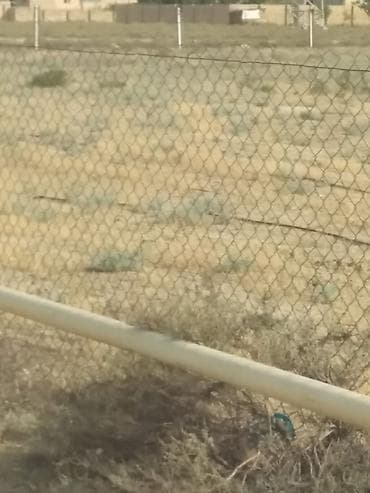 yeni əmlak az xırdalan: 1100 sot, Kənd təsərrüfatı, Barter mümkündür, Bələdiyyə — 4