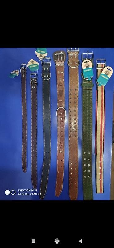 daniel klein saat baki: Kutanqlar — 1