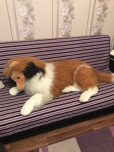 teddi ayısı yumşaq oyuncaqlar: Продаются мягкие игрушки — 2