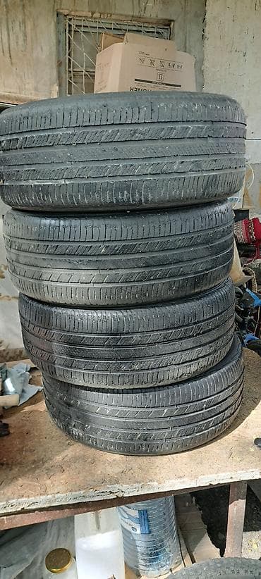 Şin Michelin 225 / 55 / R 17