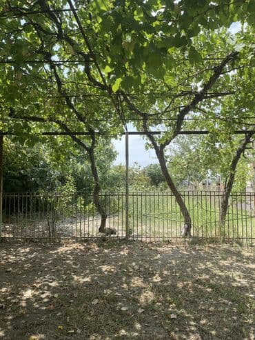 xirdalanda satilan torpaqlar: 7 sot, Barter mümkündür, Kupça (Çıxarış) — 2