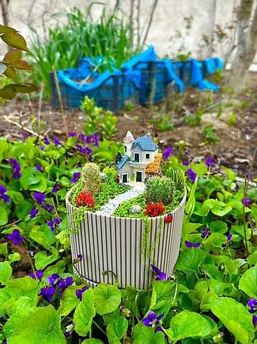 dəmir dekor: Miniatür sukulent terrarium – dekorativ kompozisiya - Tərkib — 3