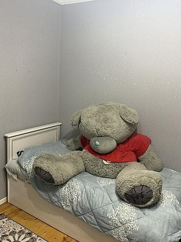 tedi ayi: Böyük ölçülü yumşaq oyuncağ ayı 1.80 sm dir - Rəng: boz - Üzərində — 1