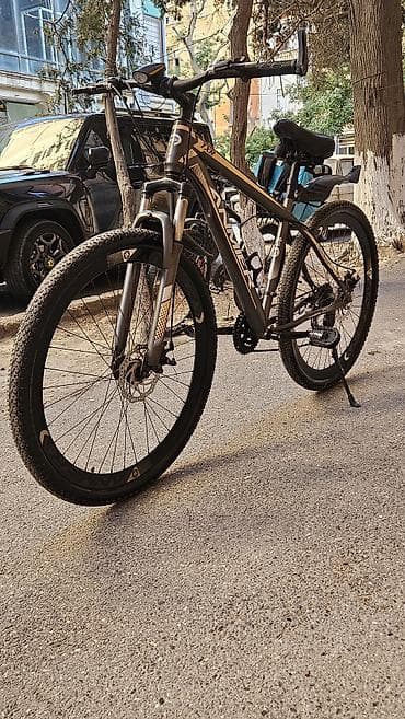 mini velosiped: Rolun təkərlərin paçevnikləri təzədir arxa naklatkalar təzədir — 1