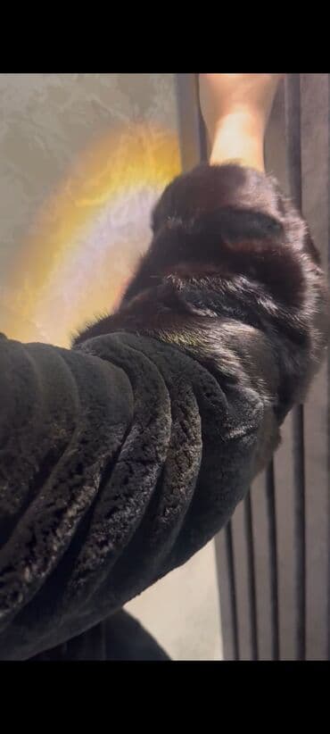 женские шлепанцы с мехом: Şuba 550m
48_50_52 — 3