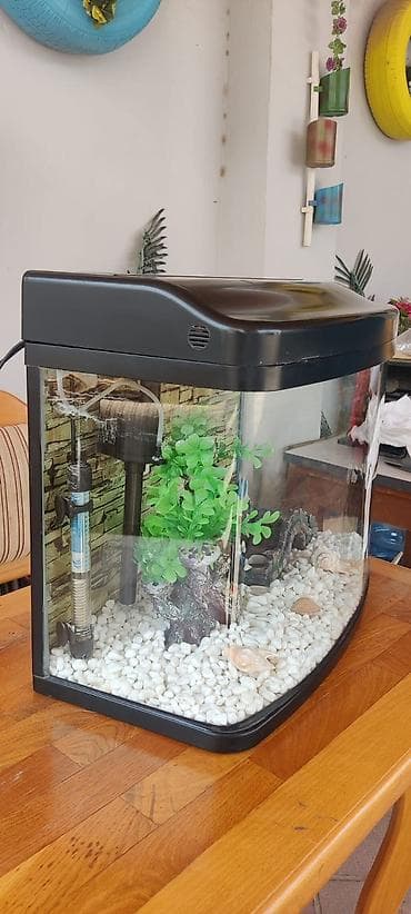 akva ayaqabılar: Ela veziyyetdedir. az iwlenib, icindeki ewyalarnan verilir — 4