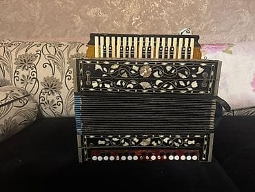 Гармошки: Гармонь, Акустический — 2