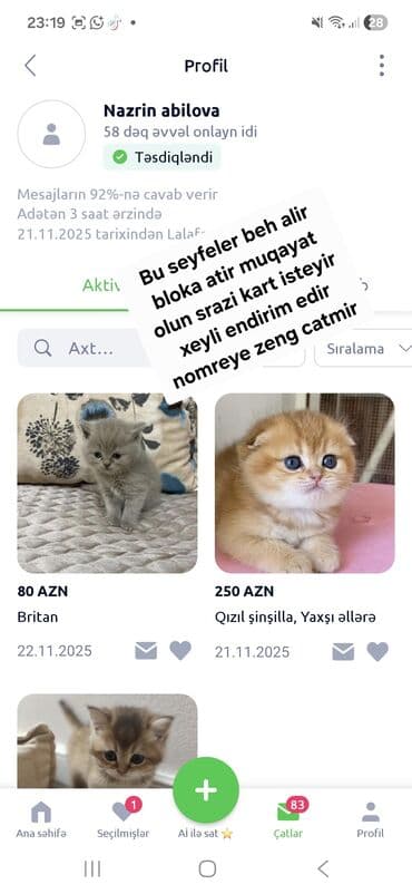 1 azn pişik: Şotland, Erkək, Dişi, Yaxşı əllərə, Pulsuz çatdırılma, Ödənişli çatdırılma — 24