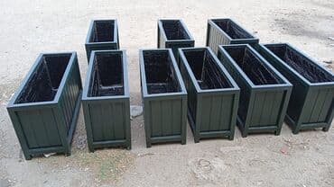 dibçek gulleri: Dibçək güldanlar. Dipçəklər bir başa sexdən.Sex qiymətinə. ♦️Endrim — 1