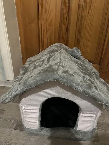 Britan, Dişi, Yaxşı əllərə — 6