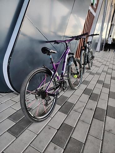 Bənövşəyi rəngdə velo, VELONUN ÜSTÜNDƏ-xamelyon tikanlı pedal,çəhrayı