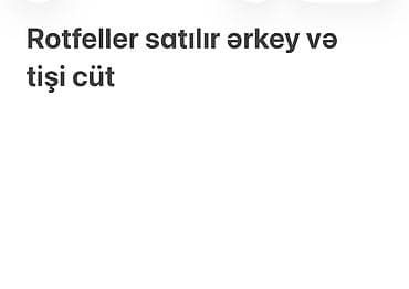 çin aslani: Rotveyler — 1