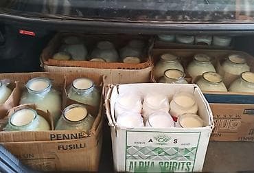 Süd-1.20 . qatıq 1.30. Şəmkir Qaryağdı.Təbriz küçəsi. Təbii kənd süd lalafo.az -da Süd-1.20 . qatıq 1.30. Şəmkir Qaryağdı.Təbriz küçəsi. Təbii kənd süd