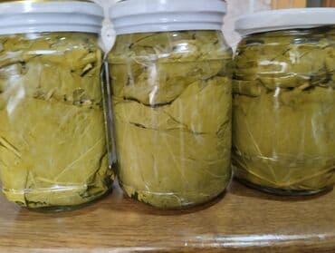 meyve sekilleri: Dolma hazırlamaq üçün idealdır. Evdə hazırlanmış, təbii — 6