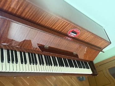 Elektrik nəqliyyatı: Piano, Petrof, Akustik, İşlənmiş, Ünvandan götürmə — 2