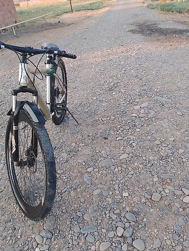 velosiped 20: Salam satılır Reyal alicilar narat etsin 250 sonudu bilesuvarda — 3
