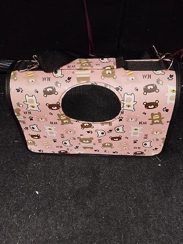 qara pişik: Tecilisatilir — 3