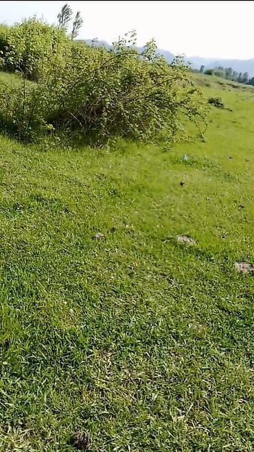 bilgehde torpaqlarin satisi: 10 sot — 5