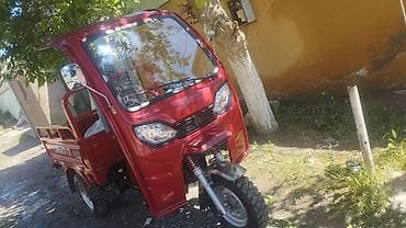 mator yagi: Yükdaşıma üçün qapalı kabinəli 3 təkərli motosiklet (tricikl) - Rəng — 2