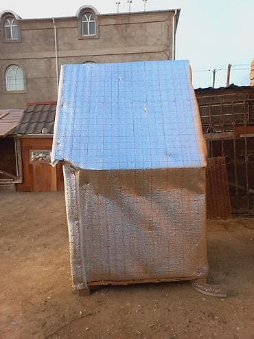 it alqi satqisi: Salam teze yiglib istiyen olsa unvan bine savxoz — 8