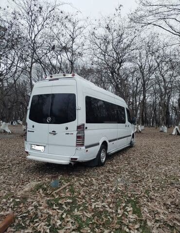 бампер на мерседес w210: Mercedes-Benz Спринтер: 3 л | 2008 г. Бус — 8