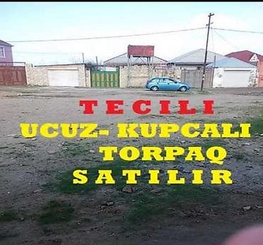 12 sot, Mülkiyyətçi, Kupça (Çıxarış) lalafo.az -da 12 sot, Mülkiyyətçi, Kupça (Çıxarış)