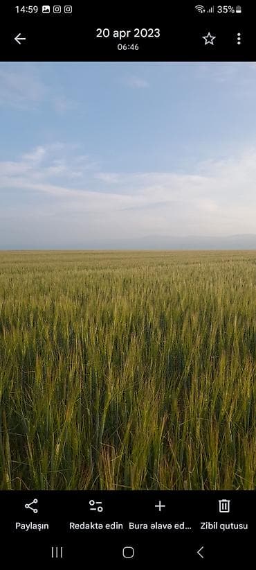 Qarajlar: Kənd təsərrüfatı — 3