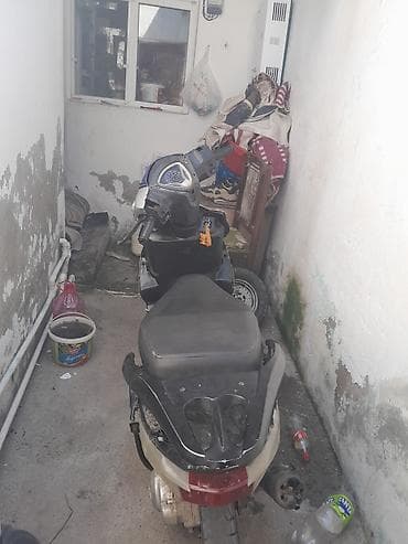 moped: Kuba - 80 — 3