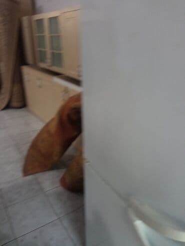 dondurma soyducu: İşlənmiş 2 qapılı Soyuducu Satılır, rəng - Ağ — 2