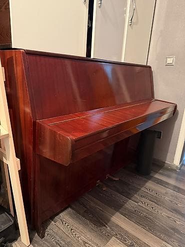 roma: Upright pianino – Юность ) modeli - Korpus: parlaq tünd qəhvəyi taxta — 6