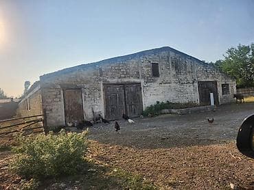 asan əmlak: Ferma təsərrüfatı üçün daş konstruksiyalı iri təsərrüfat binaları və — 1