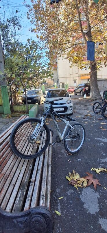 3 cu sinif azerbaycan dili metodik vesait yukle: Yeni Şəhər velosipedi Scott, 26", sürətlərin sayı: 32, Ünvandan götürmə — 3